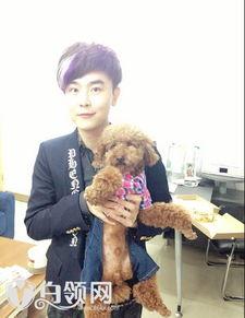 周思成讲课视频,深度解析课程内容与教学特色