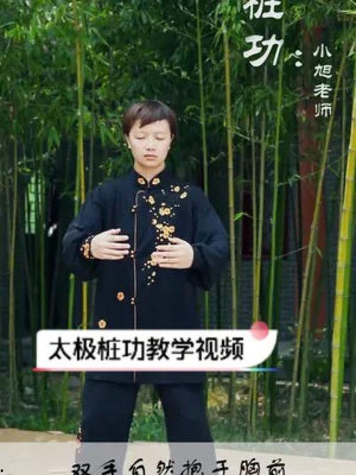 太极桩功教学视频,跟随教学视频，掌握平衡与内功的奥秘